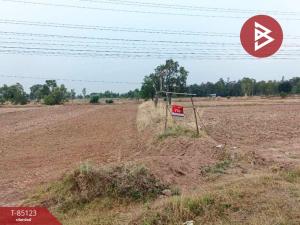 For SaleLandBuri Ram : Empty land for sale, area 10 rai, Phutthaisong, Buriram, good location next to the road.