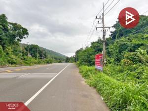 For SaleLandTrat : Empty land for sale, area 4 rai 1 ngan 99 square wah, Khlong Yai, Trat.