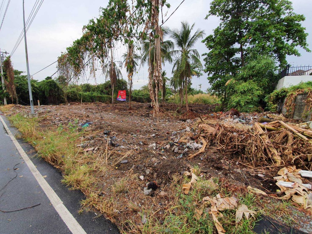 ขายที่ดินปิ่นเกล้า จรัญสนิทวงศ์ : ที่ดิน เรียบทางรถไฟ ตลิ่งชัน / (ขาย), Land along the railroad, Taling Chan / (SALE) Q019