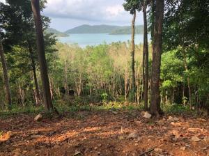 For SaleLandTrat : Land on Ban Chek Bae, Koh Chang, Trat (Land on Ban Chek Bae, Koh Chang, Trat)