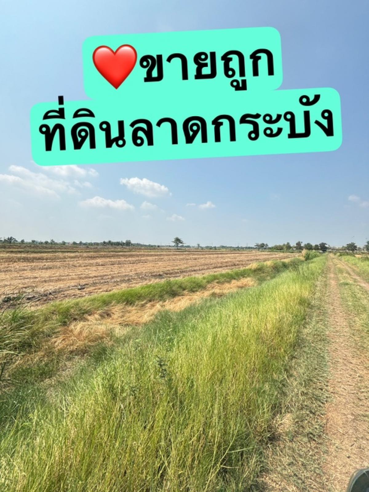 ขายที่ดินลาดกระบัง สุวรรณภูมิ : #ขายที่ดินย่านเจ้าคุณทหาร ลาดกระบัง ใกล้สุวรรณภูมิ ราคาดีงาม