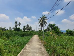 ขายที่ดินแจ้งวัฒนะ เมืองทอง : ขายที่เกาะเกร็ด จังหวัดนนทบุรี ที่แปลงสวย เนื้อที่ 2-1-27 ไร่