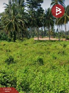 For SaleLandKoh Samui, Surat Thani : Land for sale, area 1 ngan 30.8 square meters, Koh Samui, Surat Thani.