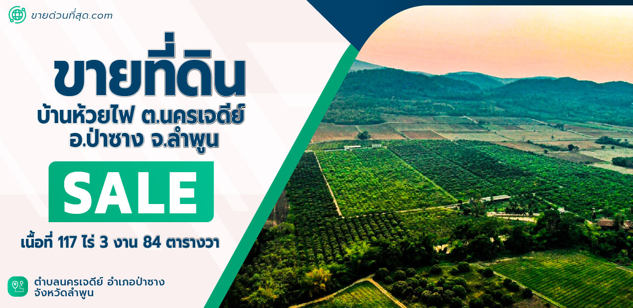 ขายที่ดินลำพูน : ขายที่ดินสวนมะม่วง  ต.นครเจดีย์ อ.ป่าซาง จ.ลำพูน เนื้อที่ 117 ไร่ 3 งาน 84 ตร.ว.