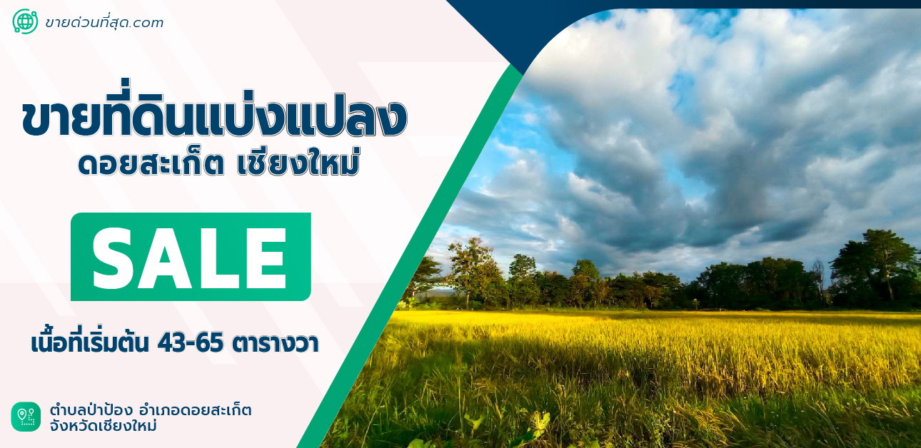 For SaleLandChiang Mai : Land for sale, divided into plots, Doi Saket, Chiang Mai, starting area 43-65 square meters.