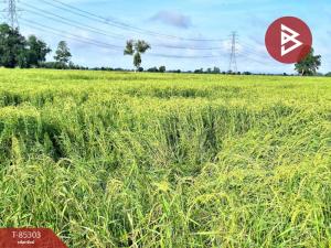 For SaleLandNakhon Sawan : Empty land for sale, area 25 rai 3 ngan 23 sq m, Phaisali, Nakhon Sawan.