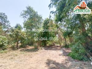 For SaleLandKalasin : Land near Wat Bowonthepnimit, Sam Chai District, Kalasin, area 2 ngan 52 square meters.