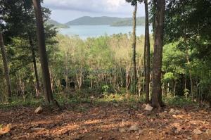 For SaleLandTrat : Land for sale, 7 rai, Ban Chek Bae, Koh Chang, South, sea view, beautiful sunset.