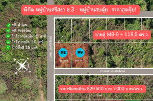 ขายที่ดินลำปาง : ขายที่ดิน แปลง M8 และ M9 โปรโมชั่นพิเศษ เพียง 829,500 บาท (ตร.ว.ละ 7,000 ) ถูกสุดในโครงการ ศรีสง่า อำเภอเมือง ลำปาง ใกล้ บิ๊กซีลำปาง เพียง3กม. (ID: 002LSM )