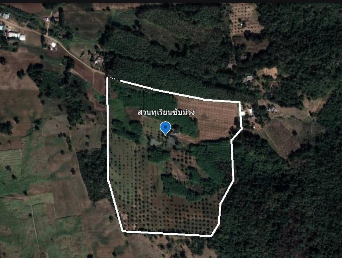 For SaleLandPhetchabun : Whole plot for sale: durian orchard, sweet tamarind, good soil, very beautiful, 32,000 baht/rai at Phor Tor 5, total 117 rai, good soil, anything you plant is beautiful, Chon Daen District, Phetchabun Province, beautiful view, good soil, 150 Monthong duri