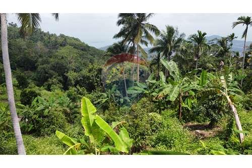 For SaleLandKoh Samui, Surat Thani : Sea View Land for Sale Developer Opportunity in Bophut