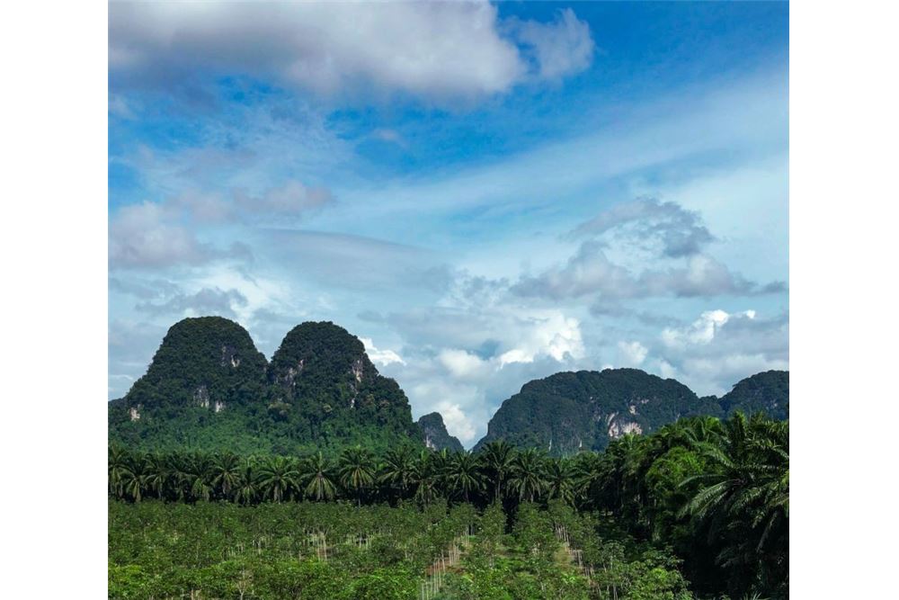 For SaleLandKrabi : Land for Sale in Nhong Thale Krabi