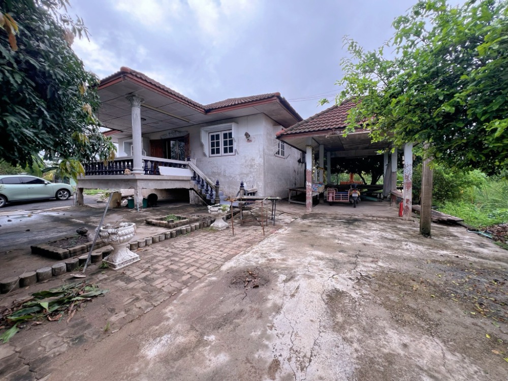 For SaleHousePathum Thani,Rangsit, Thammasat : Very cheap for sale!! House with 2 plots of land, Soi Tawan Ok 60, along Khlong 6, usable area 240 sq m., land area 229 sq m., suitable for living, connected to Rangsit-Nakhon Nayok Road, along Khlong Hok Road