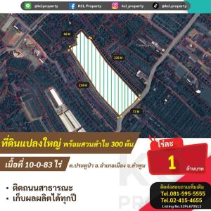 For SaleLandLamphun : Land for sale with longan orchard, 10 rai, Pratu Pa Subdistrict, Mueang District, Lamphun Province.