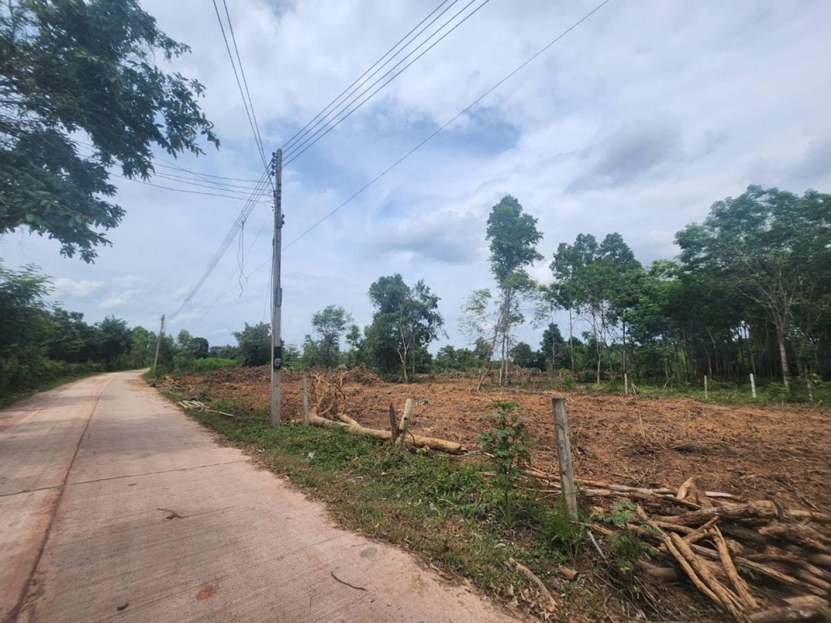 For SaleLandUdon Thani : Phen District, Udon Thani Province, small plots of land for sale at cheap prices.