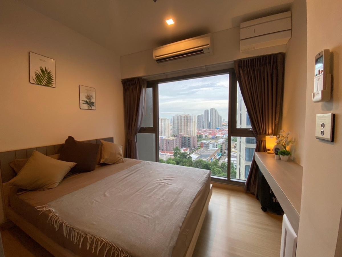 ขายคอนโดอ่อนนุช อุดมสุข : SALE !!! HOT rare item Whizdom connect sukhumvit 101 ห้องสวย น่าอยู่ รีบโทรนะ 095-3905490