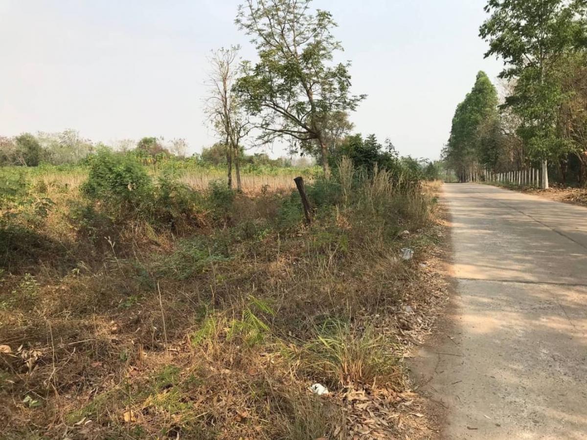 For SaleLandPhetchabun : Land for sale, beautiful view, Red Garuda, 52 rai, very cheap price.