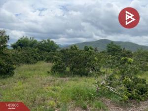 For SaleLandChiang Mai : Empty land for sale, area 4 rai 1 ngan 63 sq m, Mae Taeng, Chiang Mai.