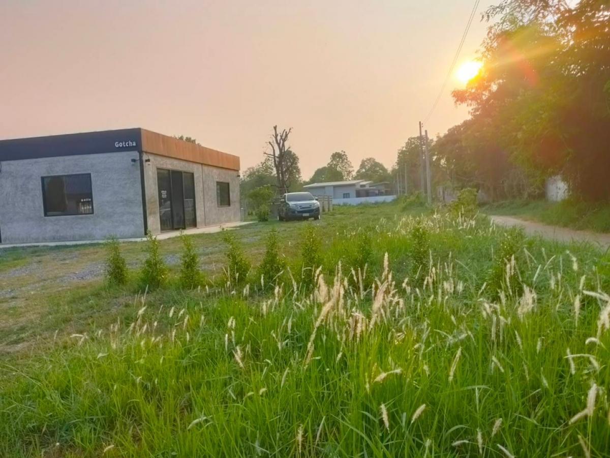 For SaleLandMaha Sarakham : ❤️❤️ Urgently rent / sell 1 rai of land near Sarakham University, can trade. The land can be built as a coffee shop and can make coffee. and food  Beautiful land next to the road ❤️❤️Rental price including coffee shop 20,000 baht, price only 7.7 million. 