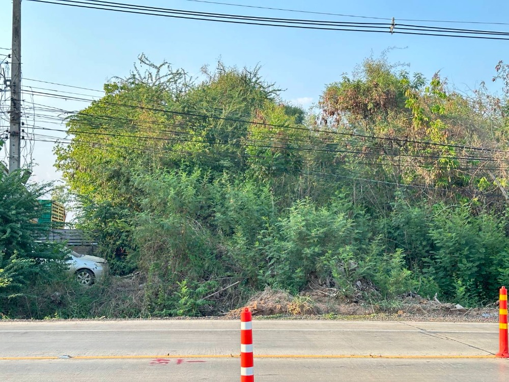 For SaleLandKorat Nakhon Ratchasima : Beautiful land next to a paved road, 4 lanes.