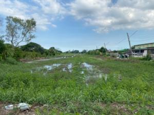 For SaleLandMin Buri, Romklao : Land for sale next to Rat Uthit Road, 9 rai 1 ngan 35 sq m, in the area of ​​Soi Rat Uthit. Between Soi Rat Uthit 44/2, Min Buri, Bangkok, behind the land next to the public Lam Rang canal.