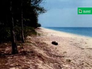 For SaleLandPhangnga : Beautiful land next to the Phang Nga sea, 710 rai 3 ngan 68.8 sq m, price 7 million baht per rai.  Suitable for building a hotel, beautiful sandy beach.