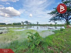 For SaleLandKorat Nakhon Ratchasima : Land for sale, area 1 rai 3 ngan 50.7 square wah, Sung Noen, Nakhon Ratchasima.