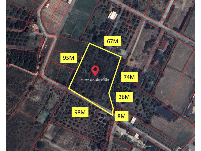 For SaleLandLamphun : Land for sale, 4 rai 3 ngan 57.3 sq m, suitable for agriculture or living, Lamphun Province.