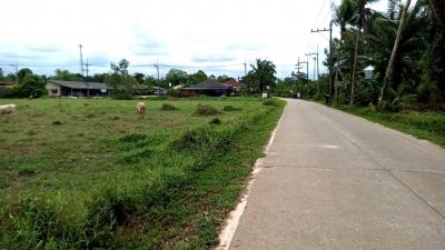 For SaleLandChumphon : land for sale, corner plot, behind Chumphon Garden, Pracharat Road, Soi 1, Behind Suan Soi 9, suitable for building a housing development.