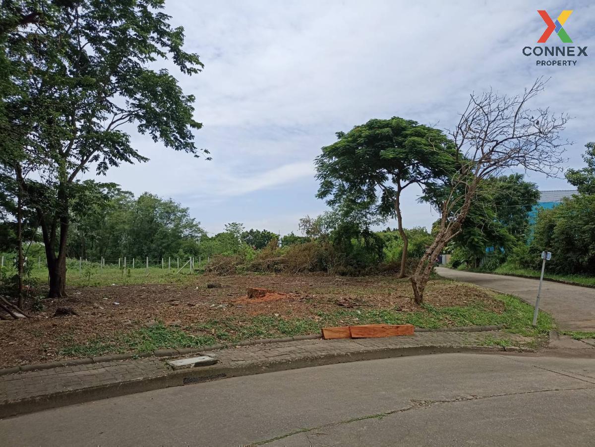 ขายที่ดินปทุมธานี รังสิต ธรรมศาสตร์ : ขายที่ดินเปล่า  บ้านสีวลี รังสิต 1 ประชาธิปัตย์ ธัญบุรี ปทุมธานี CX-97263