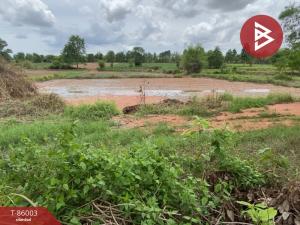 For SaleLandKhon Kaen : Land for sale, area 10 rai 2 ngan 63 square wah, Nam Phong, Khon Kaen