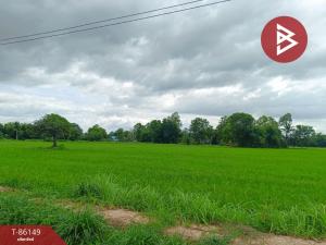 For SaleLandRatchaburi : Land for sale, area 2 rai 2 ngan 89.2 square wah, Pak Tho, Ratchaburi.