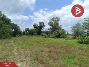 For SaleLandRatchaburi : Land for sale, area 3 rai 1 ngan 78 square wah, Pak Tho, Ratchaburi.