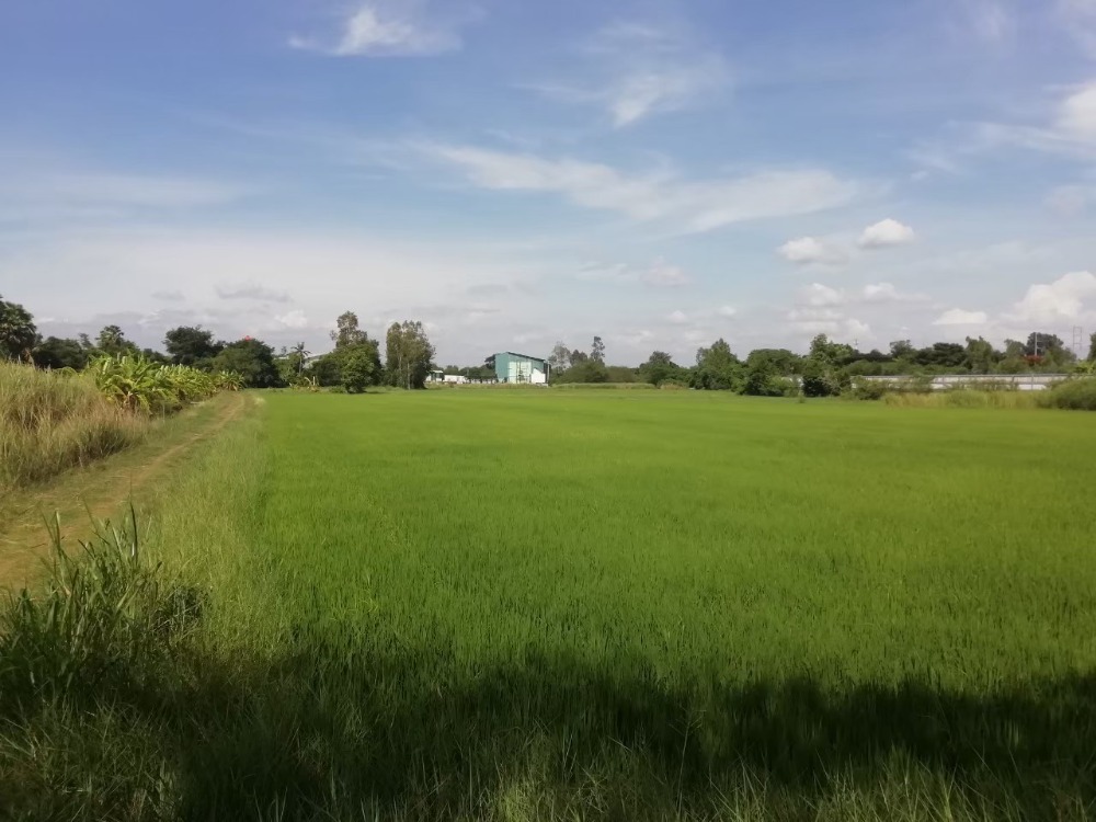 For SaleLandAyutthaya : Beautiful land for sale near the road