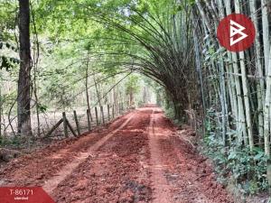 For SaleLandNakhon Phanom : Land for sale, area 7 rai 2 ngan 36 square wa, Nong Yat, Nakhon Phanom