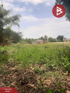 For SaleLandPhayao : Land for sale, area 3 ngan 13 square wah, Mae Jai, Phayao.