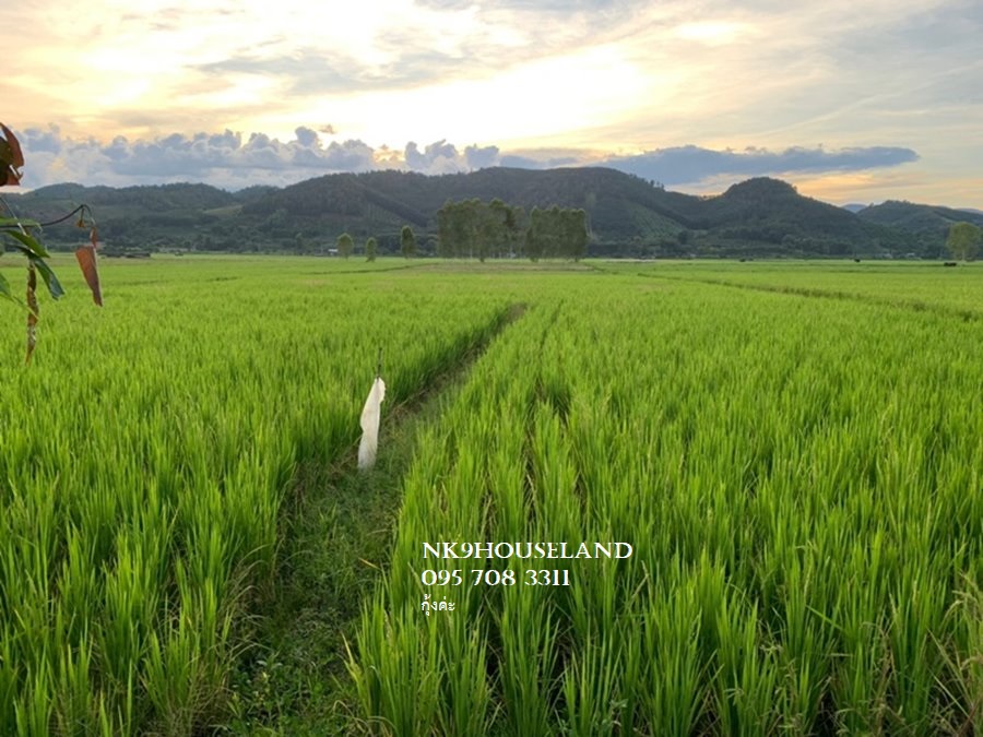 For SaleLandChiang Rai : #Land in Chiang Rai, mountain view #Wiang Pa Pao land, mountain view #Mae Khachan land, mountain view #Looking for land to build a restaurant with a beautiful view in Chiang Rai. #Looking for land to make a resort with a beautiful view in Chiang Rai. #Loo