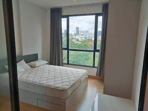 For RentCondoKasetsart, Ratchayothin : Condo for rent, Premio Vitro Kaset, near opposite Kasetsart University.