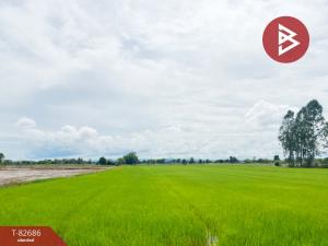 For SaleLandSukhothai : Land for sale, area 18 rai 3 ngan 86 square wah, Sawankhalok, Sukhothai.