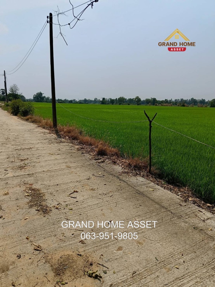 For SaleLandPhichit : Empty land near Wat Bueng Li, Phichit Rural Highway 3023, Bueng Narang District, Phichit Province.