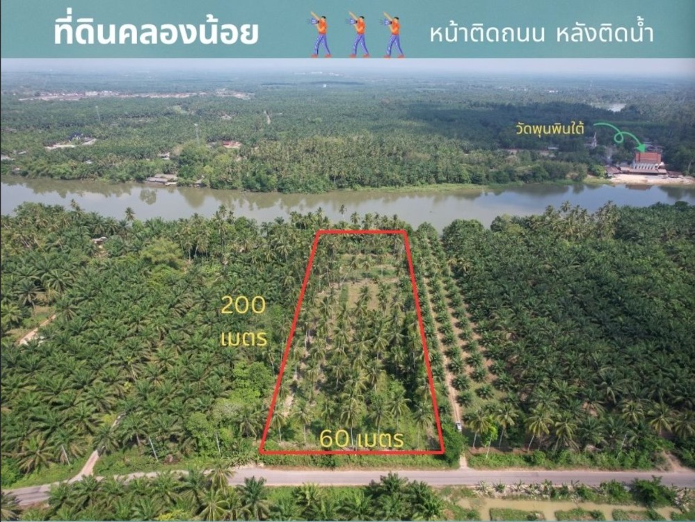 For SaleLandKoh Samui, Surat Thani : 🌊🏞️ The most beautiful plot of land next to the river. The front is next to the road, the back is next to Phunphin Canal, the big river.