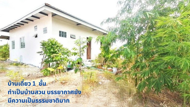 For SaleHousePathum Thani,Rangsit, Thammasat : Single house for sale, 1 floor, 100 wa, Khlong Si (east side), installments available directly to the owner, concrete road, Khlong Luang, Pathum Thani.