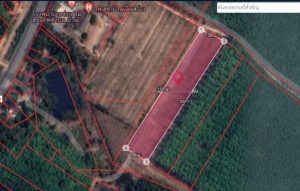 For SaleLandRayong : Land for sale in Noen Sawang-Ban Khai.