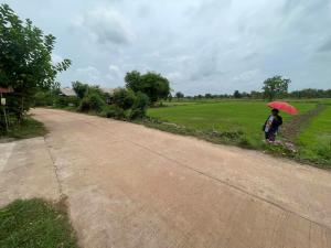 For SaleLandNong Khai : Cheapest discount in this area, 8 rai of vacant land, title deed, 2 plots next to each other, Ban Nong Kok community area. Next to concrete road (Owner sells it himself)