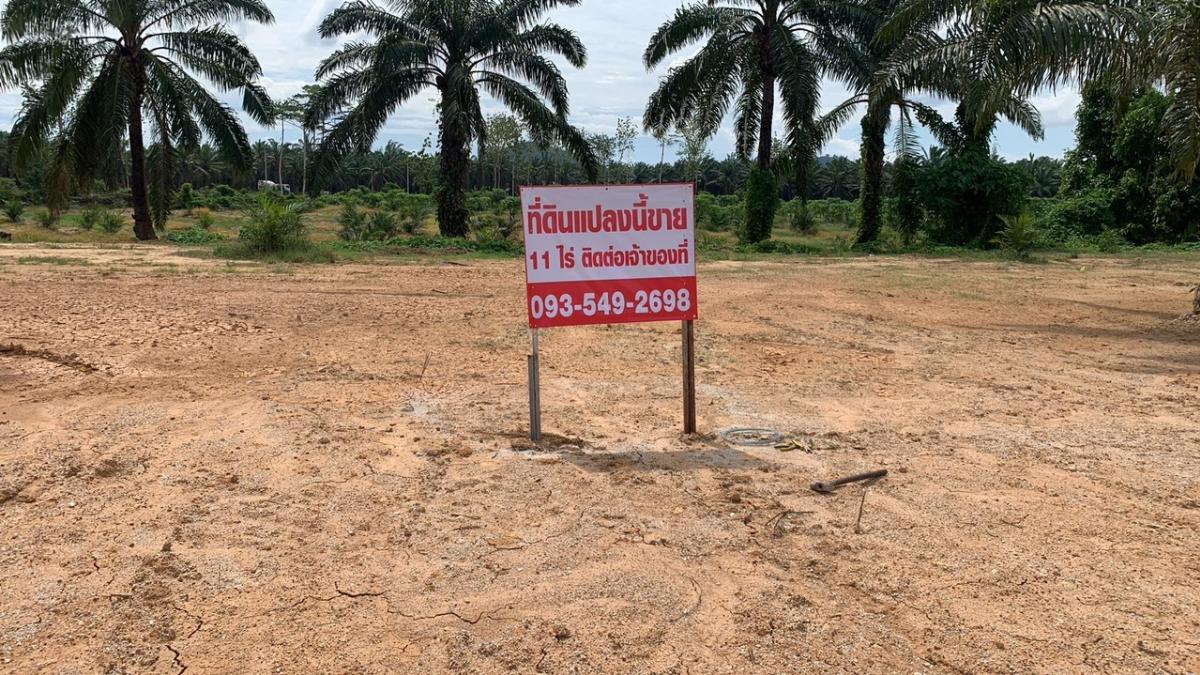 For SaleLandKoh Samui, Surat Thani : Land for sale, Surat Thani, 11 rai, next to the main road, Southern, very beautiful, 110 meters ahead of the main road.