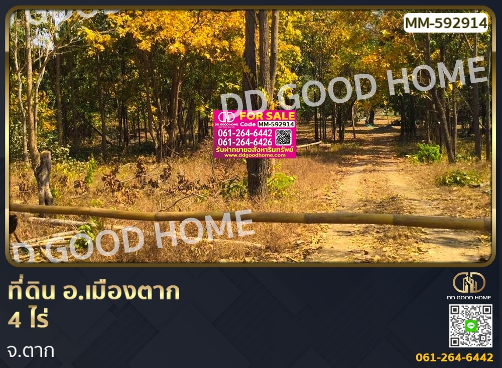 ขายที่ดินตาก : ที่ดิน อ.เมืองตาก 4 ไร่ จ.ตาก