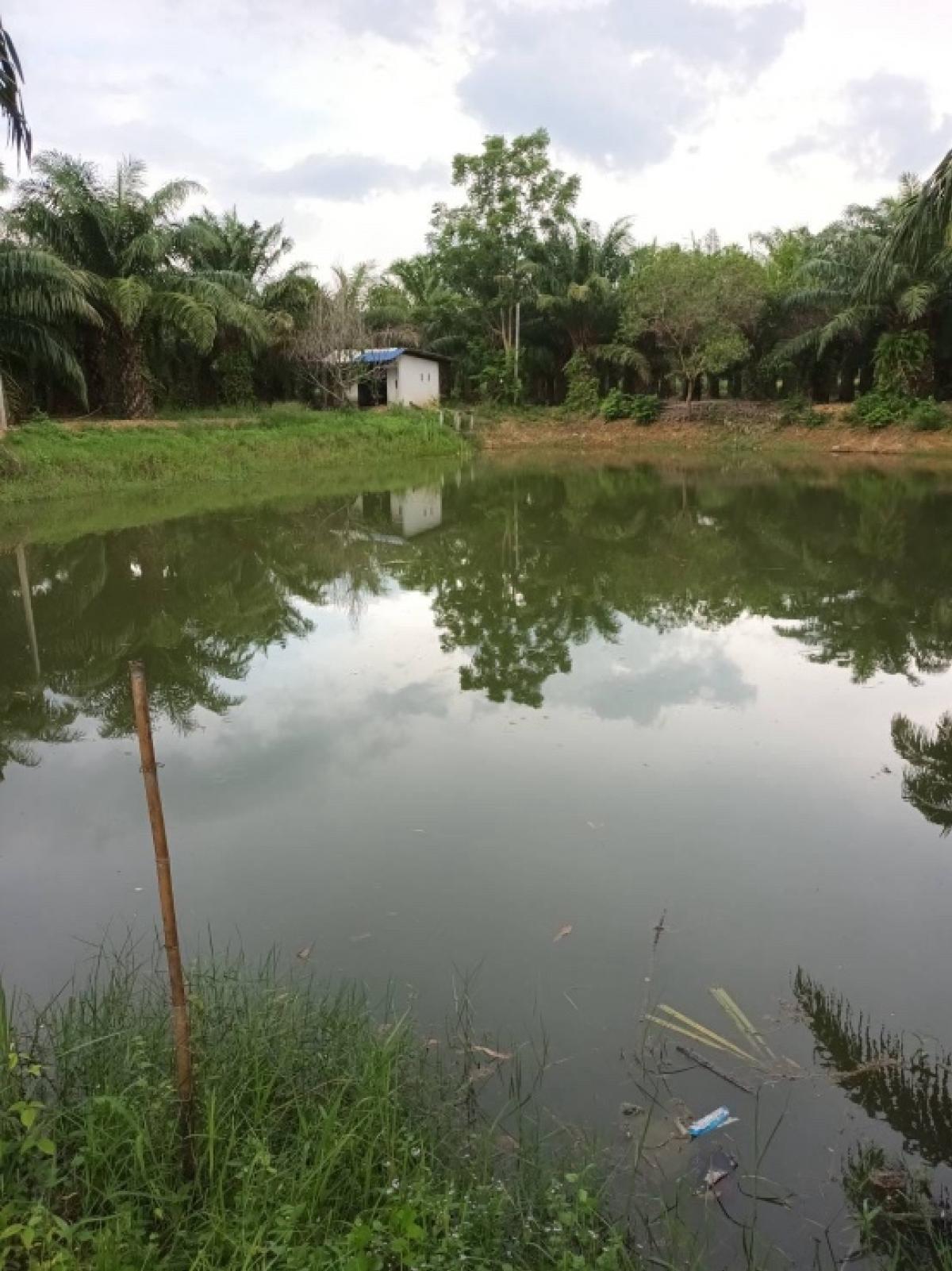 For SaleLandPrachin Buri : To brothers and sisters who want some solitude.  Iw has a secret land plot of 77 rai, good weather, ready to transfer, closing at 92,400,000 baht #attached assets near Rojana Industrial Estate. Si Maha Phot District, Prachinburi Province, this land has al