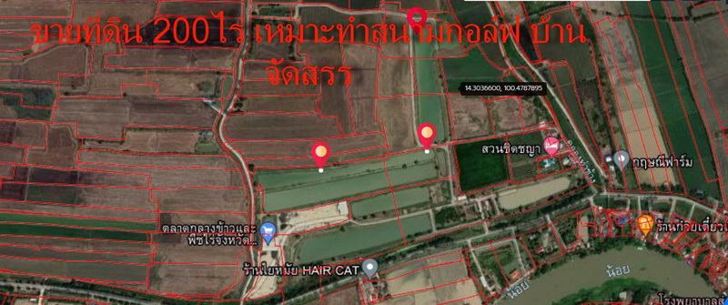 For SaleLandAyutthaya : Land for sale, 200 rai, already filled, can be divided for sale, has tens of thousands of eucalyptus trees, Tambon Kaeo, Amphoe Bang Thai, Phra Nakhon Si Ayutthaya Province. Contact urgently, Khun Tai, 099-1436534.