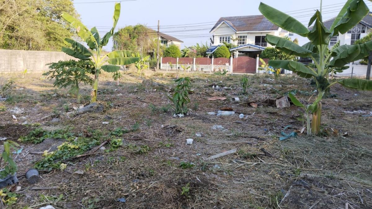 For SaleLandLadkrabang, Suwannaphum Airport : 📣📣📣Land for sale 154 square wah, beautiful plot next to the lake, Khum Klao, Lat Krabang 📣📣📣