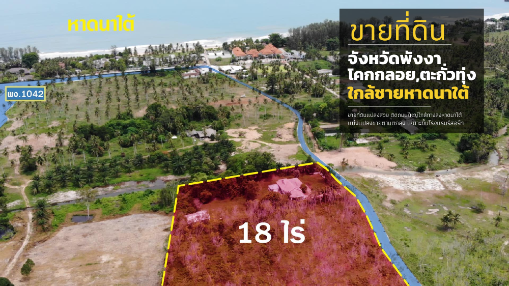 For SaleLandPhangnga : Land for sale, Khok Kloi, Takua Thung,Phangnga on sale !!!